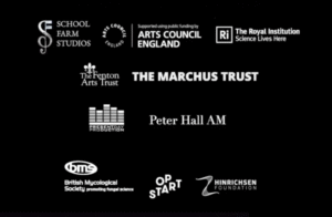 Sponsors